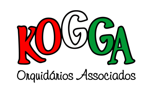 Logo site sem fundo